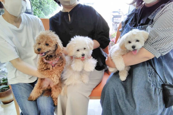 箕面外院どうぶつ病院【しつけ方教室】