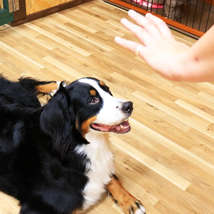 ちびちびハウス