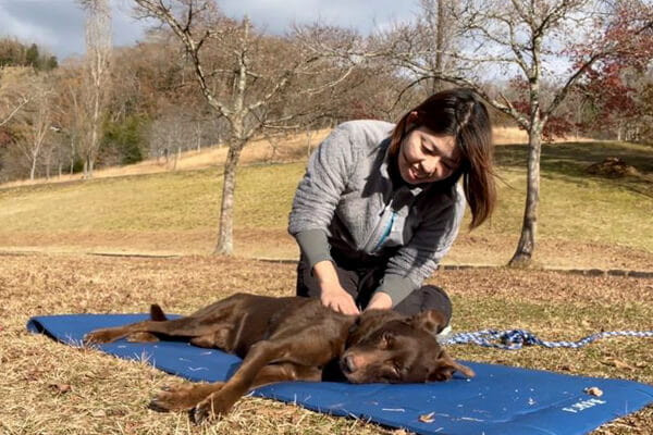 じゃわのしっぽ