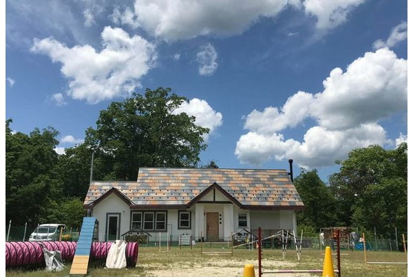 愛犬と飼主さんとのﾏﾅｰ教室 Ready to Run