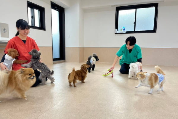 ワンちゃんの学校イン・クローバー