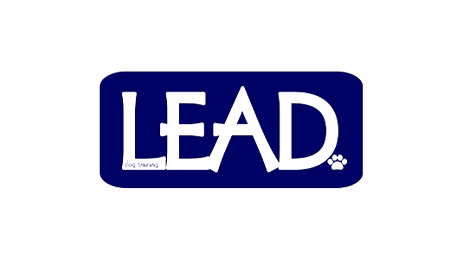 LEAD