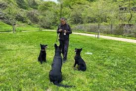 金沢ドッグトレーナー