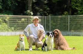 家庭犬出張トレーニング4111よいわんわん