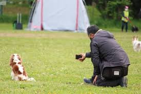 Dog school＆hotel Gaw