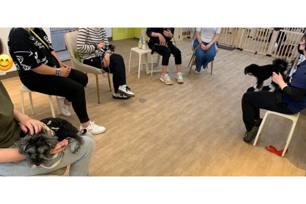 犬の保育園&介護デイサービス ペッパーハウス