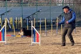 ドッグスクールZERO