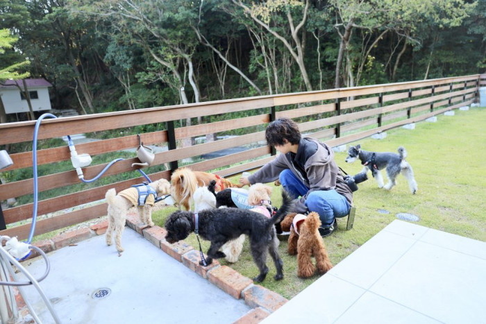 犬のほいくえんPee-Ka-Boo 九条店