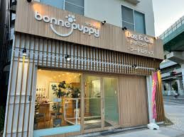 犬のための幼稚園 bonne puppy 弁天町店