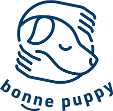 犬のための幼稚園 bonne puppy 弁天町店