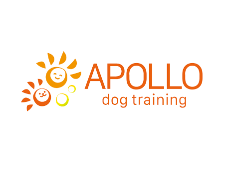 ドッグトレーニングアポロ