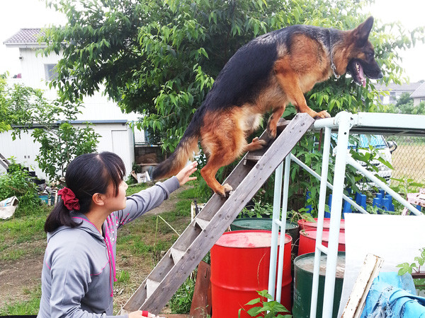 公認訓練士 矢野麻衣子