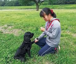 公認訓練士 矢野麻衣子