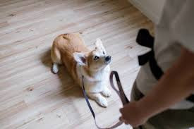 PET CARE&HOTEL 【ulu】-ウル-桜川店