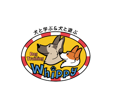 ドッグトレーニング Whippy
