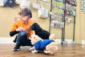 怖がり犬専門のしつけ smart-dog