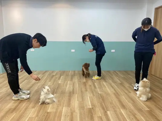 犬のための幼稚園 bonne puppy 北浜店