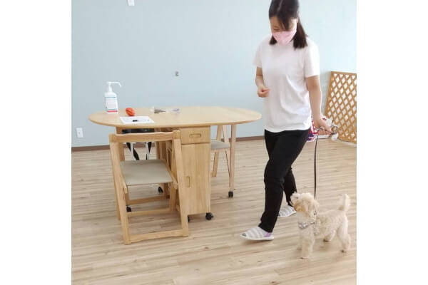 Dog&Owner support Liofriends