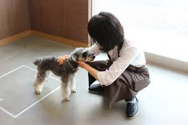 SOPRA GINZA 横浜店