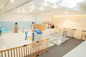 アンブルランド