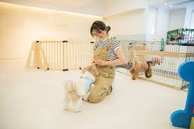 アンブルランド