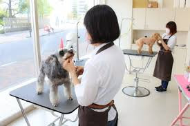 SOPRA GINZA 横浜店