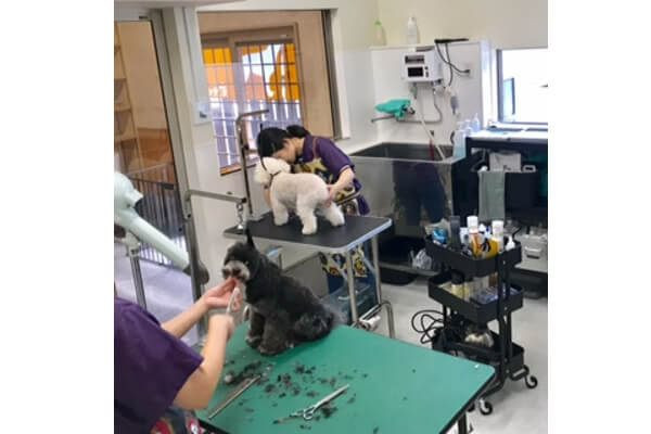 ペットサロン Etoile