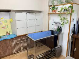 ドッグサロン Ruu