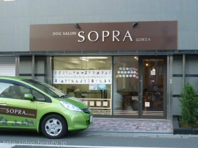 SOPRA GINZA 川口店