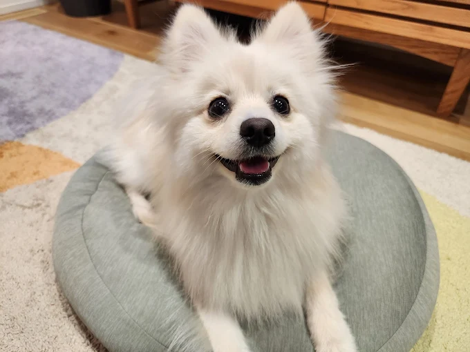 SOPRA GINZA 川口店