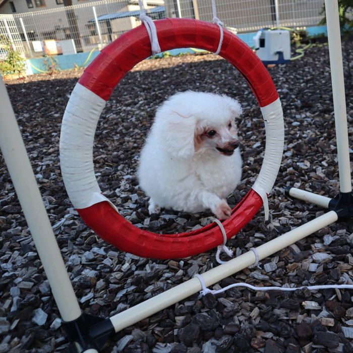 アニマルケアガーデン椿峰