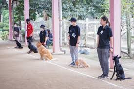 株式会社 梅香荘 警察犬・家庭犬学校