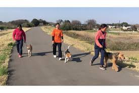 株式会社 梅香荘 警察犬・家庭犬学校