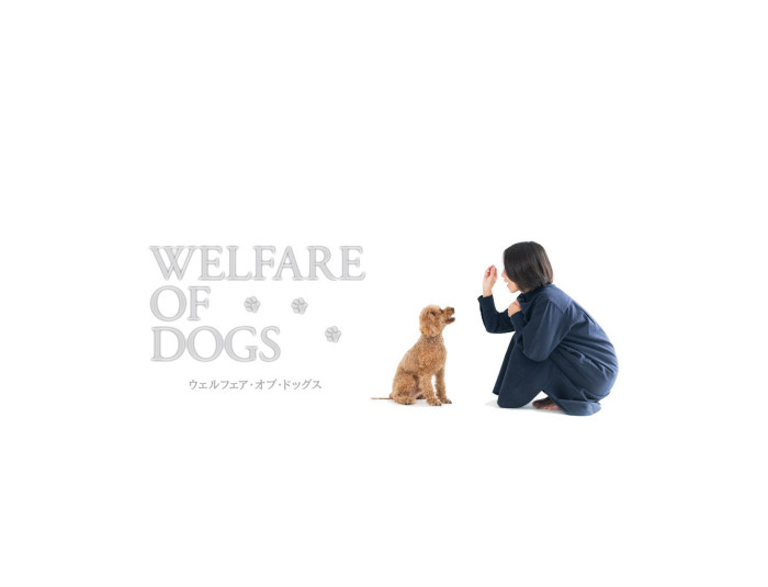 ウェルフェアオブドッグス出張専門
