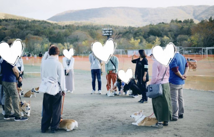 ウェルフェアオブドッグス出張専門