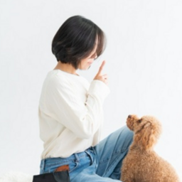 ウェルフェアオブドッグス出張専門