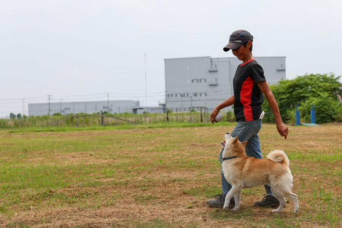 ドッグパートナースクール HERO