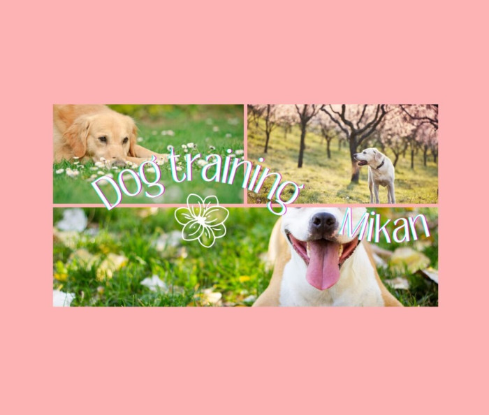 ドッグトレーニングみかん