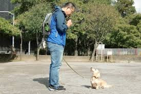 胴長屋犬健【出張専門】