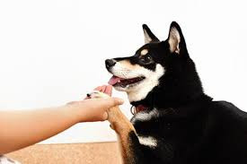 SOPRA GINZA恵比寿店