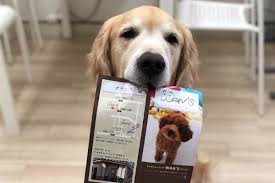 ドッグトレーニング WAN'S