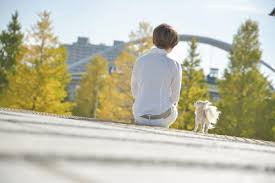 トータルドッグケア ぱれっと【出張専門】