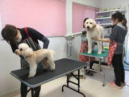 株式会社 梅香荘 警察犬・家庭犬学校