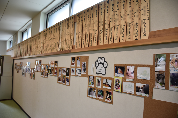 北日本動物霊堂