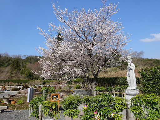 大山メモリアルパーク