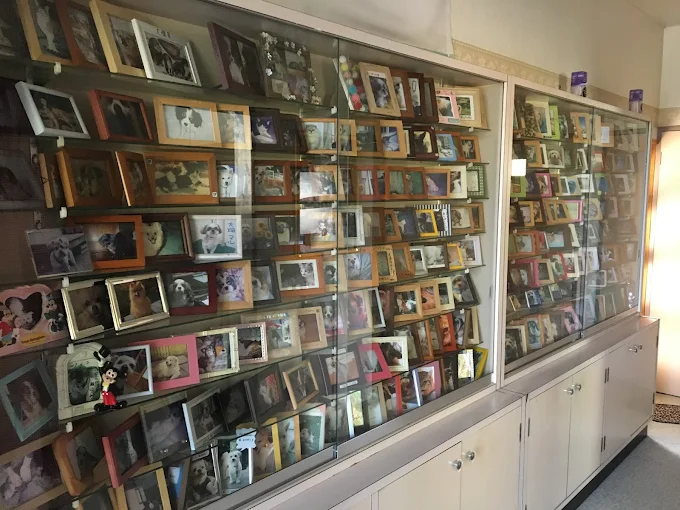 ペット霊園　メモリー