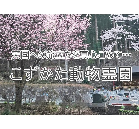 こずかた動物霊園