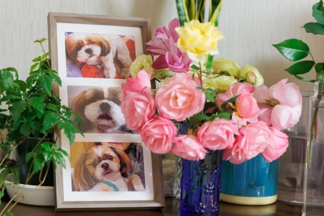 福島訪問ペット火葬サービス