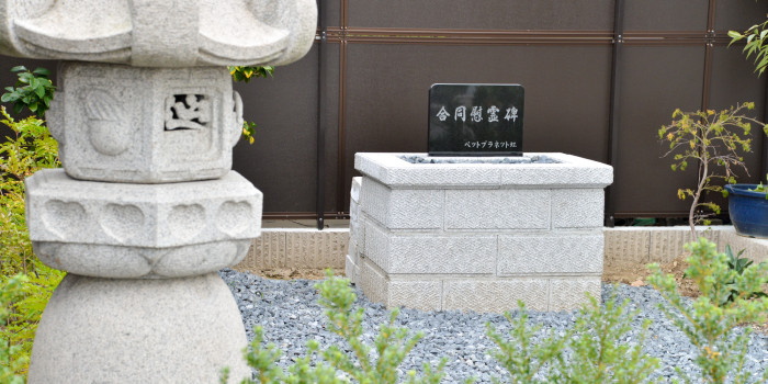 ペットプラネット虹