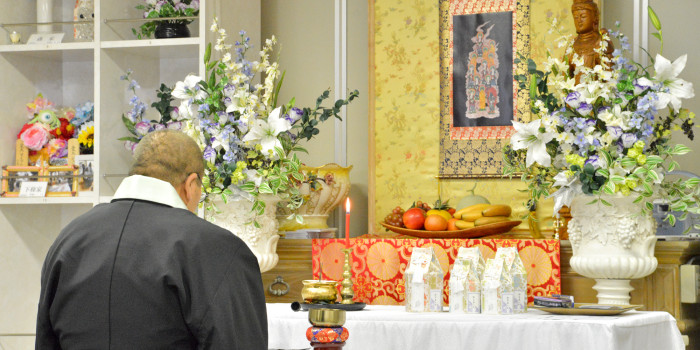 ペットプラネット虹